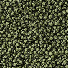 Ковролин Best Wool Nature Vivaldi I-AB Flavoured Olive фото 1 | FLOORDEALER